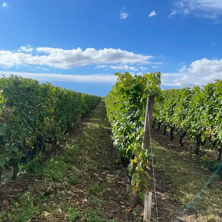 La Cristalline * Turquant