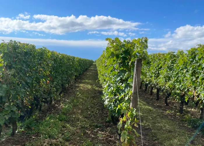 La Cristalline * Turquant